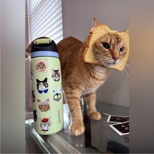 Owala UO urban outfitters Exclusive FreeSip 32 oz Cat Collage water bottle Kitty